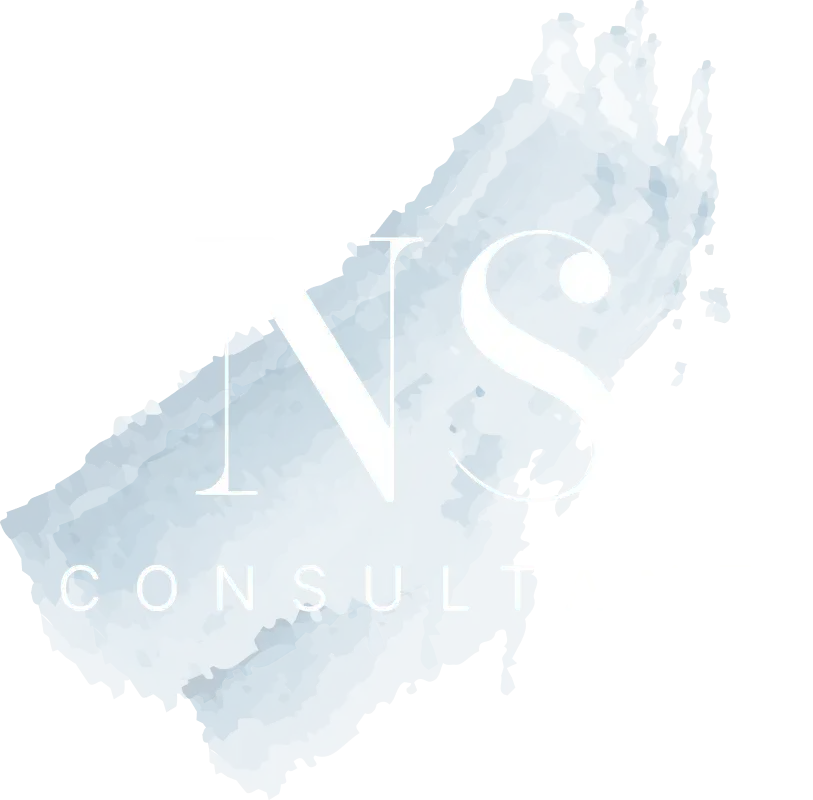 Das Logo der NS Consultant AG vor dem Video im Header